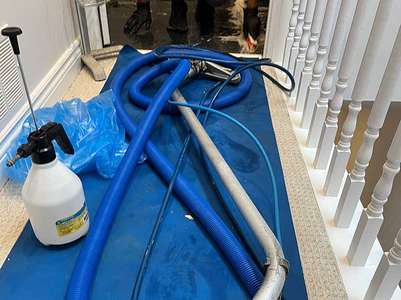 Ready to Refresh Your Carpets