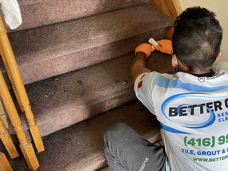 Ready to Refresh Your Carpets
